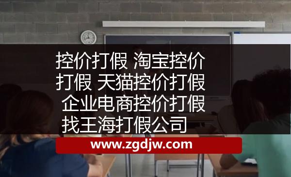 控價打假 淘寶控價打假 天貓控價打假 企業(yè)電商控價打假 找王海打假公司 