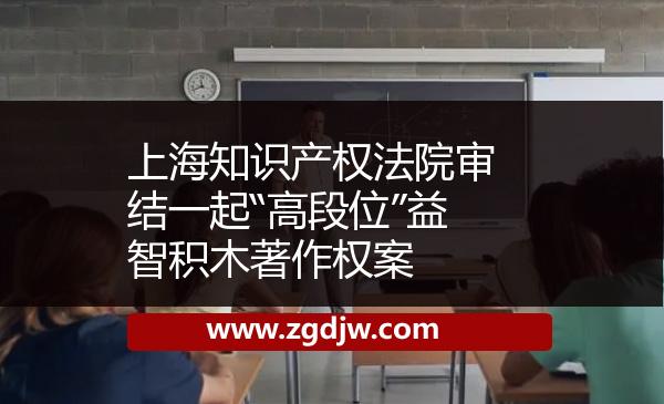上海知識產(chǎn)權(quán)法院審結(jié)一起“高段位”益智積木著作權(quán)案 