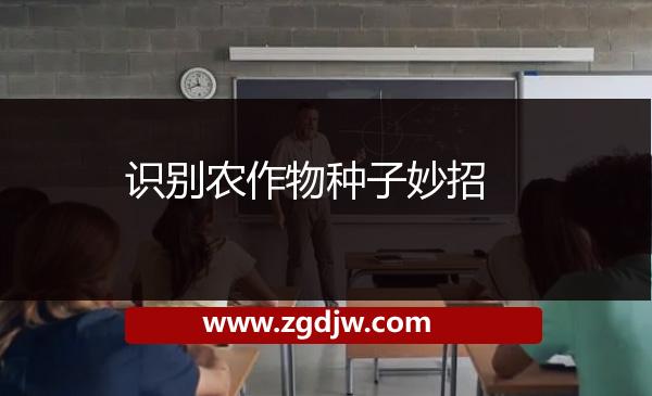 識(shí)別農(nóng)作物種子妙招
