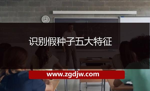 識(shí)別假種子五大特征