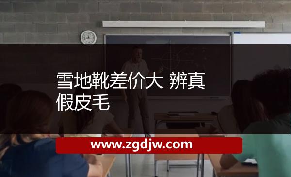 雪地靴差價大 辨真假皮毛 