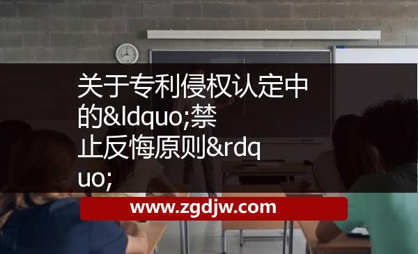 關于專利侵權認定中的“禁止反悔原則” 